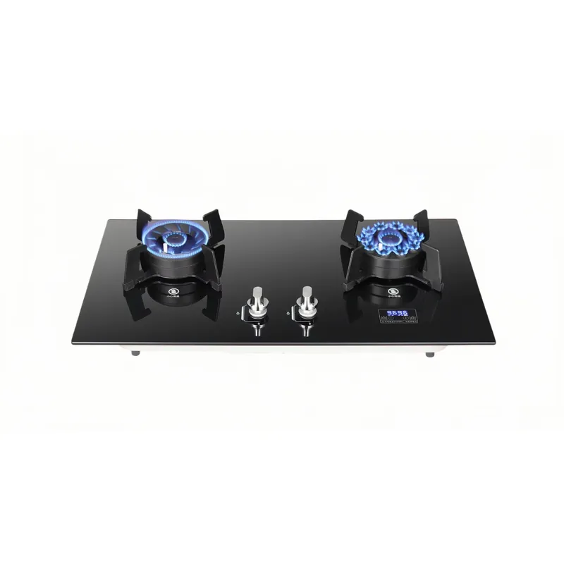 Estufa de gas portátil con dob - Camping Double Cooking Stove reseña y precio
